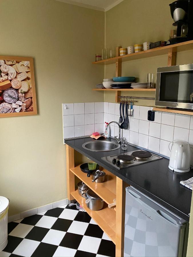 Apartments Merlin Mariánské Lázně Εξωτερικό φωτογραφία
